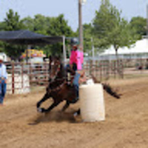 Meet your Posher, Erika